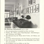 Museumsraum mit Wandbildern und Exponaten zur Flusslandschaft von Ems und Hase im Heimathaus Emsland.
