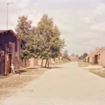 Straße in Füchtenfeld mit altem Holzschuppen links, neuen Backsteinreihenhäusern rechts und spielenden Kindern, um 1961.