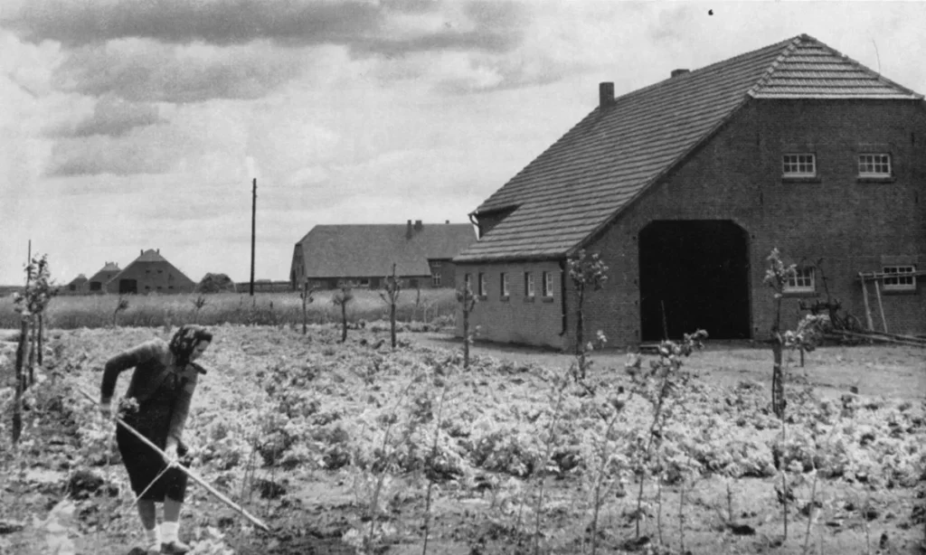 Eine Frau hackt mit einer Hacke auf einem Gemüsefeld vor einem Backsteingehöft im kultivierten Emsland.