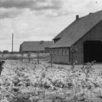 Eine Frau hackt mit einer Hacke auf einem Gemüsefeld vor einem Backsteingehöft im kultivierten Emsland.
