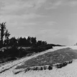 Schwarzweißfoto einer sandigen Moorlandschaft mit windgebeugten Bäumen und einem runden Gebäude im Hintergrund.