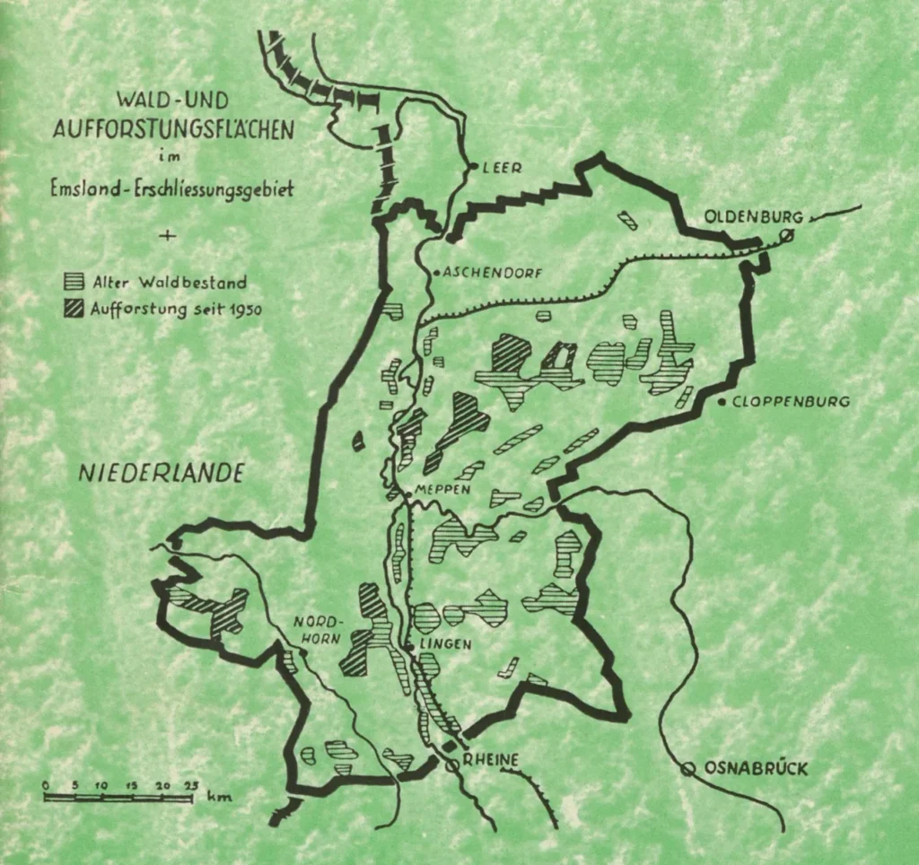 Karte zeigt alte Waldbestände und Aufforstungen seit 1950 im Emsland-Erschließungsgebiet zwischen Niederlande und Osnabrück.
