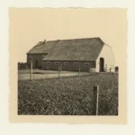 Drei historische Schwarzweißfotos zeigen neu errichtete Backsteinhöfe mit Wohnhaus und Scheune in der Emslandlandschaft.