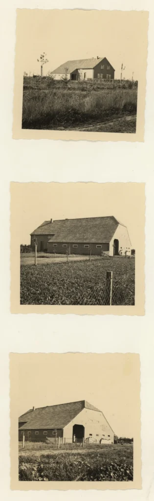 Drei historische Schwarzweißfotos zeigen neu errichtete Backsteinhöfe mit Wohnhaus und Scheune in der Emslandlandschaft.