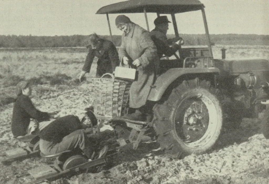 Mehrere Arbeiter pflanzen auf einem Feld Baumsetzlinge, unterstützt von einem Traktor, im Rahmen der Emsland-Aufforstung.
