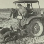 Mehrere Arbeiter pflanzen auf einem Feld Baumsetzlinge, unterstützt von einem Traktor, im Rahmen der Emsland-Aufforstung.