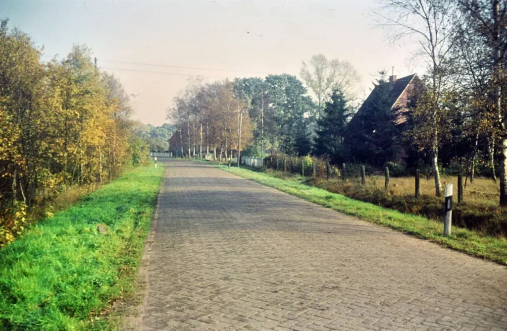 Gepflasterte Landstraße mit Kopfsteinpflaster führt durch herbstliche Baumreihen an einem Bauernhaus vorbei.