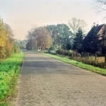 Gepflasterte Landstraße mit Kopfsteinpflaster führt durch herbstliche Baumreihen an einem Bauernhaus vorbei.