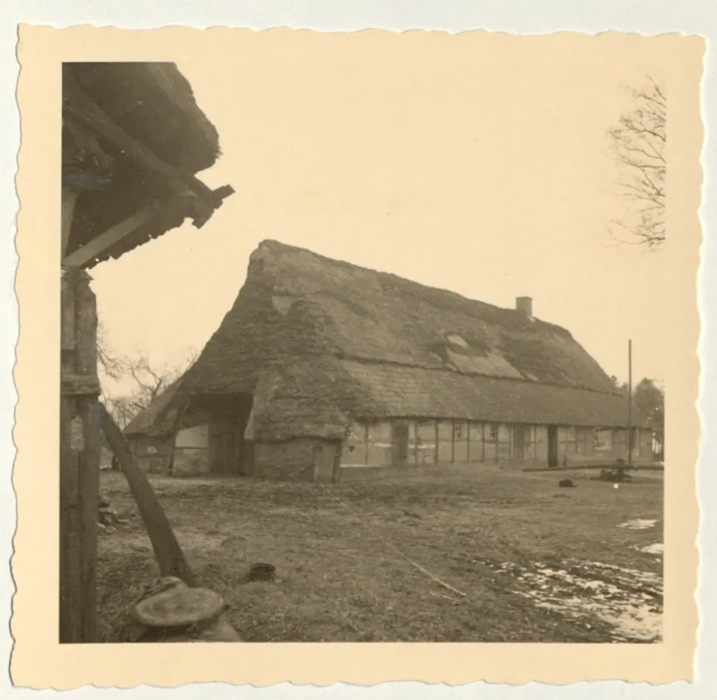 Altes Fachwerkgebäude mit großem Reetdach auf einem Bauernhof, vermutlich vor dem Abriss im Zuge des Emslandplans.