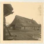 Altes Fachwerkgebäude mit großem Reetdach auf einem Bauernhof, vermutlich vor dem Abriss im Zuge des Emslandplans.