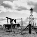 Zwei Kühe stehen neben einem Pumpjack und Bohrtürmen auf einer Moorlandschaft im Emsland, 1950er Jahre.