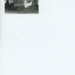 Schwarzweißfoto: Weiße Hühner stehen vor einem alten, reich verzierten Holzschrank in einem verfallenen Bauernhof.