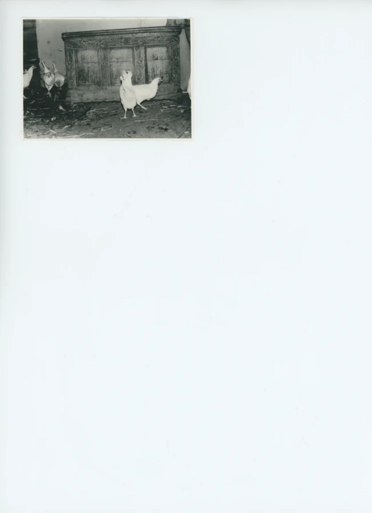 Schwarzweißfoto: Weiße Hühner stehen vor einem alten, reich verzierten Holzschrank in einem verfallenen Bauernhof.