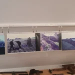 Fünf historische Fotos zeigen Arbeiter bei der Flurbereinigung im Emsland sowie landwirtschaftliche Flächen und Maschinen.