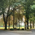Holzkreuz mit Christusfigur an einer Dorfstraße, umgeben von alten Bäumen und grünen Wiesen.