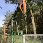 Erhaltene grün-orangefarbene Erdölpumpe hinter einem Metallgitterzaun, umgeben von Bäumen, als technisches Denkmal im Freigelände.