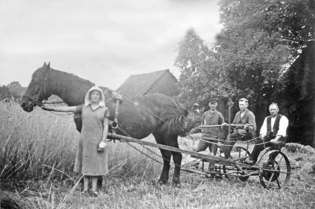 Vier Personen arbeiten mit einem Pferdegespann und einer Mähmaschine bei der Getreideernte auf einem Feld.