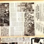 Zeitungsseite von 1977 mit Berichten und Fotos über den Emsland-Auftritt bei den Osnabrück-Tagen.