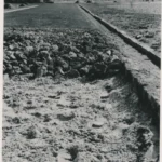 Schwarzweißfoto eines Straßenbauprojekts mit Steinen, Graben und Baumaschinen in der Siedlung Walchumer Moor.
