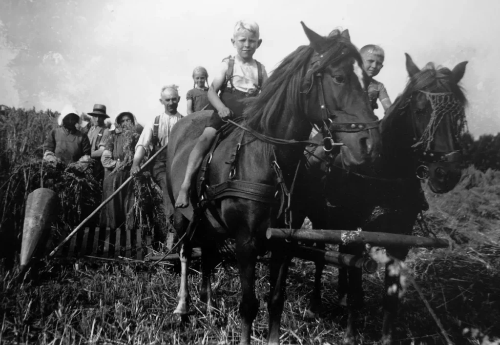 Zwei Kinder reiten auf Arbeitspferden beim Getreideschnitt, umgeben von Erwachsenen mit Erntewerkzeug.
