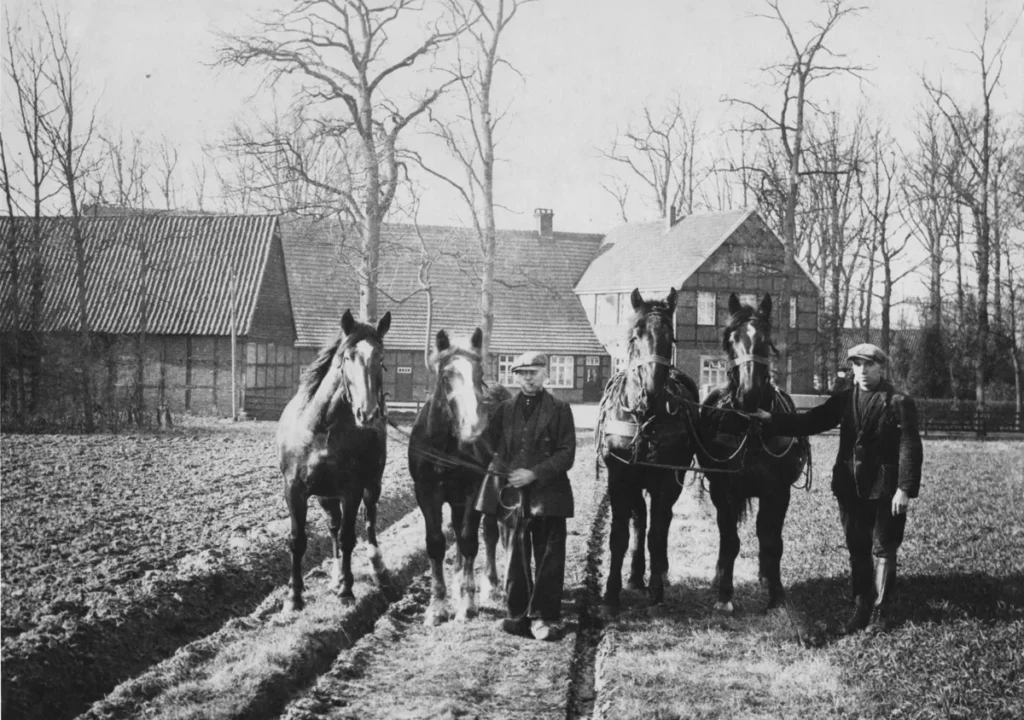 Zwei Männer halten vier Arbeitspferde auf einem Feld vor einem niedersächsischen Bauernhof, schwarz-weiß.