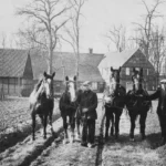 Zwei Männer halten vier Arbeitspferde auf einem Feld vor einem niedersächsischen Bauernhof, schwarz-weiß.
