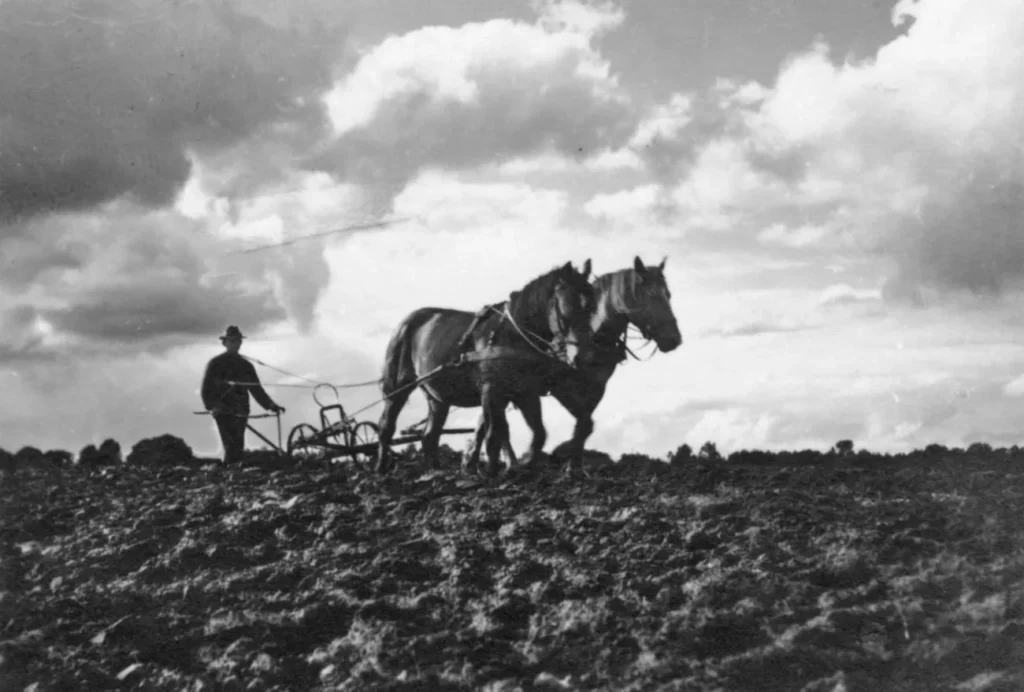 Pflügen mit Pferdekraft in Salzbergen, um 1940   E756