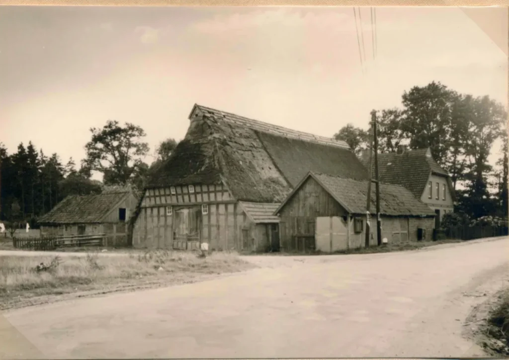 Historisches Schwarzweißfoto eines baufälligen Fachwerkhofs mit Reetdach an einer Dorfstraße, ca. 1950er Jahre.