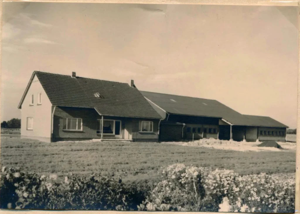 Historisches Schwarzweißfoto eines neu gebauten Bauernhofs mit Wohnhaus und langem Stallgebäude auf freiem Feld.