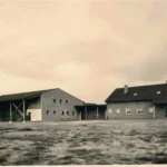 Historisches Foto eines neu gebauten Aussiedlerhofs mit Wohnhaus, Scheune und Heulager auf freiem Feld.