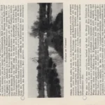 Schwarzweißfoto eines unberührten Hochmoores mit Bäumen und Wasserflächen, bezeichnet als 'Hochmoor im Urzustand'.