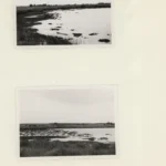 Schwarzweißfoto des Großen Take Meers bei Gehlenberg mit flachen Ufern und Wasserpflanzen, aufgenommen am 5. August 1955.