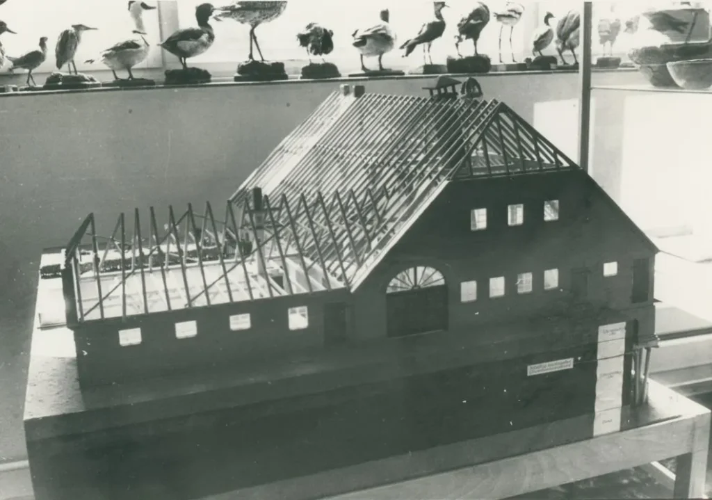 Schwarzweißfoto eines Architekturmodells eines emsländischen Bauernhauses mit sichtbarem Dachstuhl, ausgestellt in einem Naturkundemuseum.