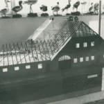Schwarzweißfoto eines Architekturmodells eines emsländischen Bauernhauses mit sichtbarem Dachstuhl, ausgestellt in einem Naturkundemuseum.