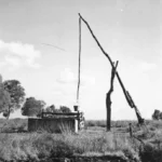 Ein hölzerner Ziehbrunnen mit Schwengel steht auf einer grasbewachsenen Moorwiese, umgeben von Bäumen.