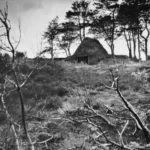 Schwarzweißfoto einer strohgedeckten Hütte auf einer Moorlichtung, umgeben von kahlen Ästen und dunklen Kiefern.