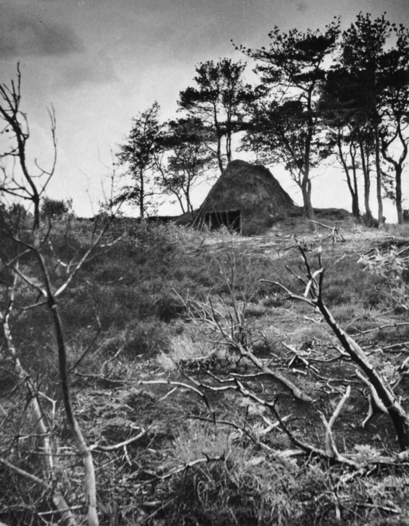 Schwarzweißfoto einer strohgedeckten Hütte auf einer Moorlichtung, umgeben von kahlen Ästen und dunklen Kiefern.